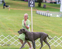 20250626-DSC04091
