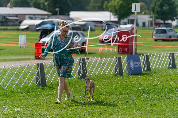 20240816-DSC00318