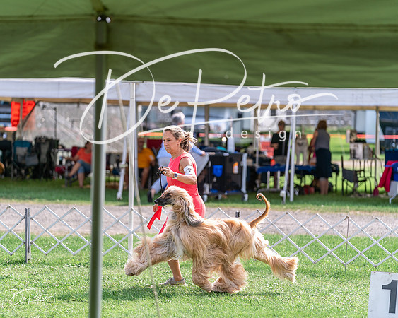 20240815-DSC06791