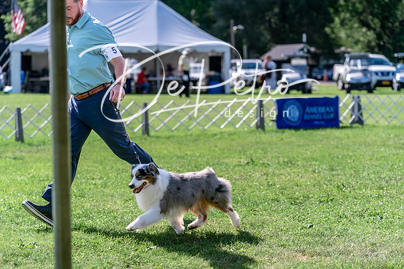 20240630-DSC04881