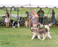 20250628-DSC08830