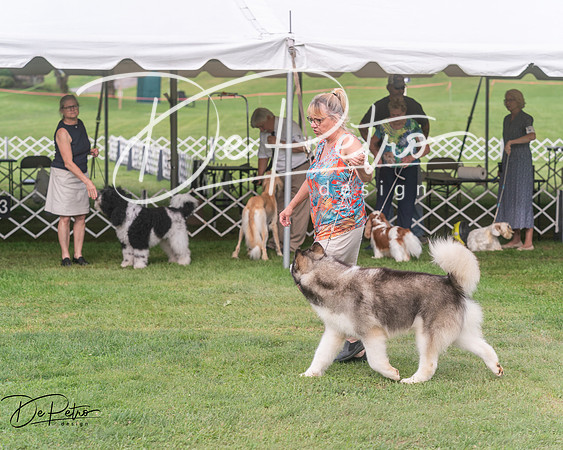 20250628-DSC08830