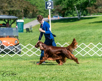 20250629-DSC00105