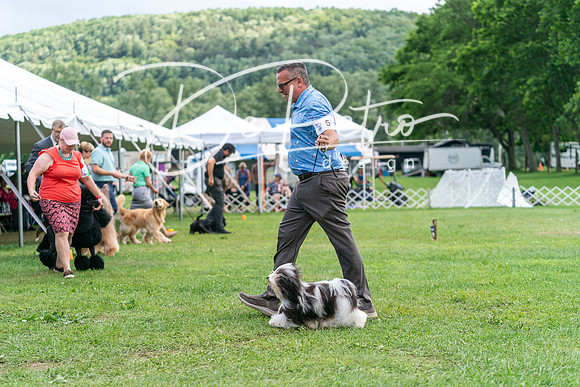 20240630-DSC05570