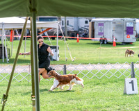 20240815-DSC07842