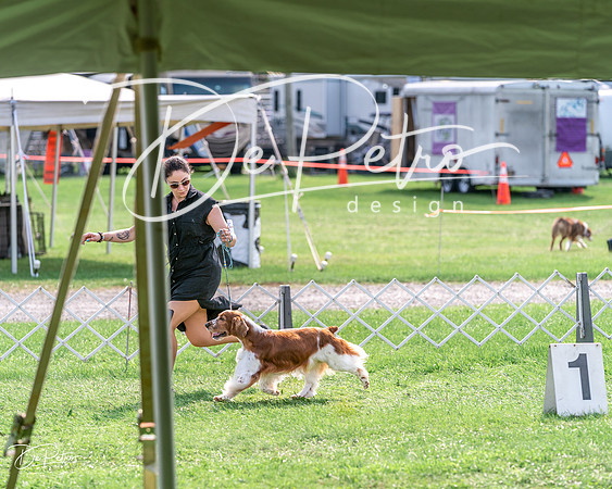 20240815-DSC07842