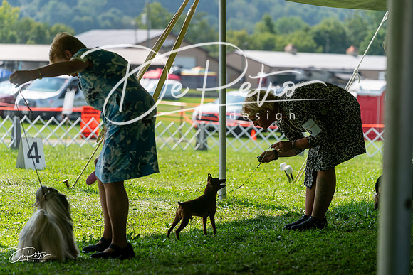 20240816-DSC00283