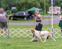 20250628-DSC07346
