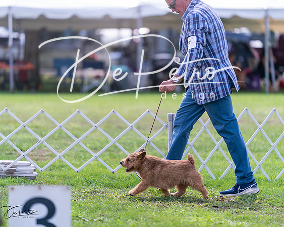 20240630-DSC03825