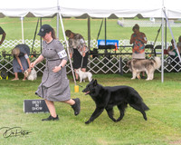 20250628-DSC08873