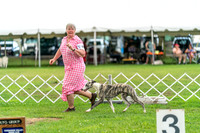 20240630-DSC02247