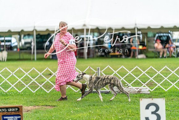 20240630-DSC02247