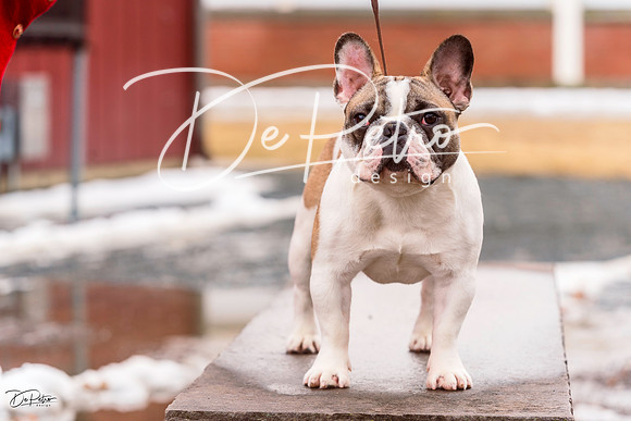 20220306-DSC01770
