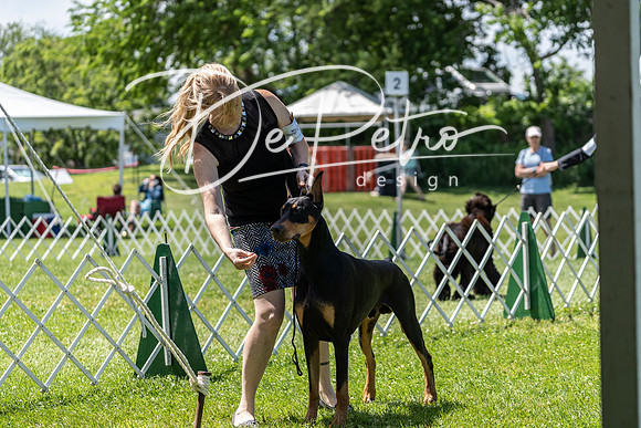20190609-DSC09431