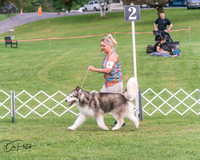 20250628-DSC08082