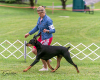 20250628-DSC07205