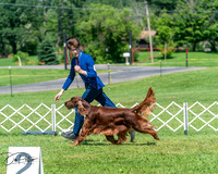 20250629-DSC00118