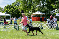 20190609-DSC09367