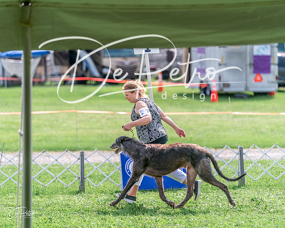 20240815-DSC06832