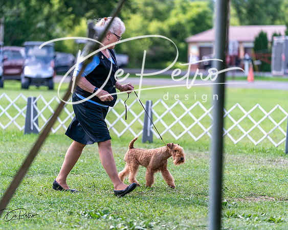 20240630-DSC03594