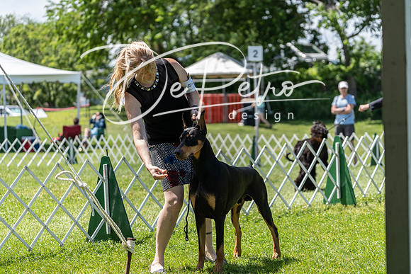20190609-DSC09432