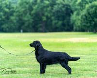 20250627-DSC06838