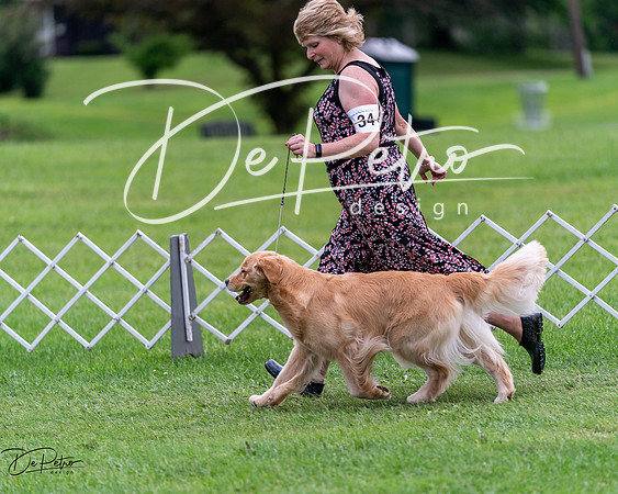 20240630-DSC01245