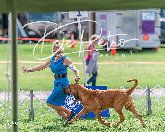 20240815-DSC06845
