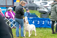 20240428-DSC00008