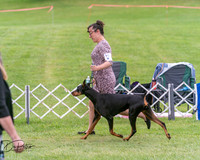 20250628-DSC07260