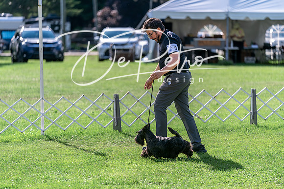 20240630-DSC05116