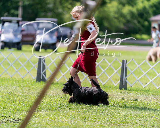 20240630-DSC03642