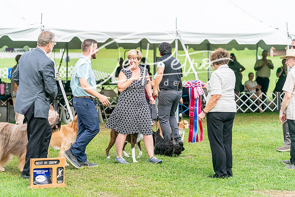 20240630-DSC05782