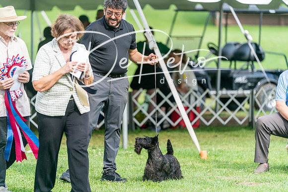 20240630-DSC05710