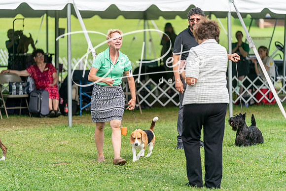 20240630-DSC05744