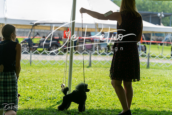 20240816-DSC00293