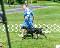 20250629-DSC00019