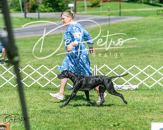 20250629-DSC00019