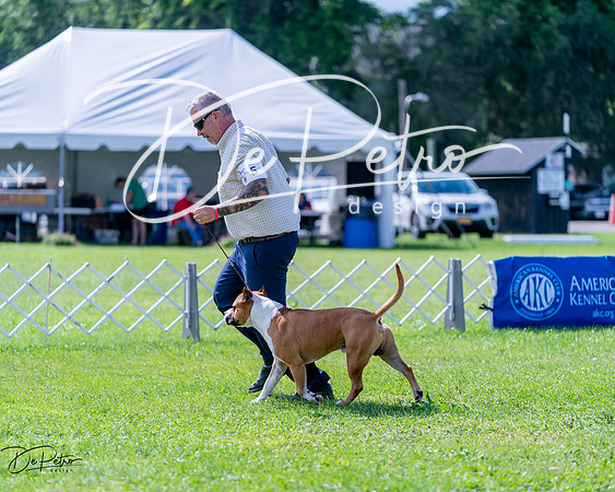 20240630-DSC03496