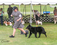 20250628-DSC08878