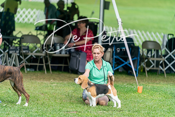 20240630-DSC05700