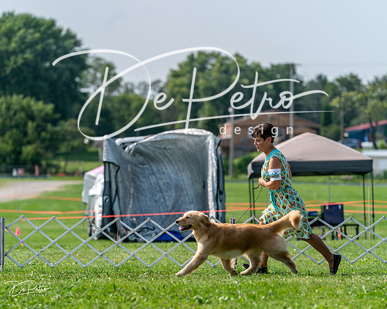 20240816-DSC00705