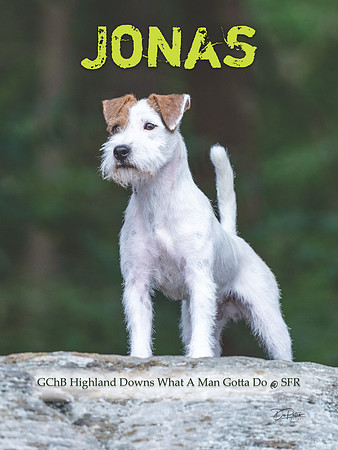 Jonas BIS mag back cover