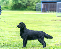 20250627-DSC06894
