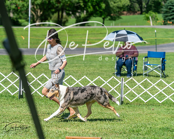 20250629-DSC01008