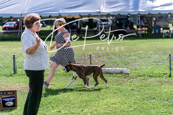 20240630-DSC05079