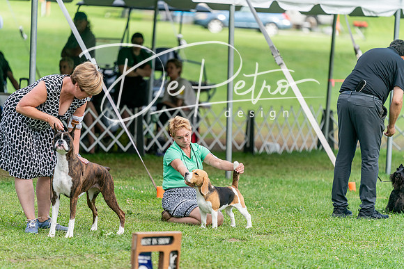 20240630-DSC05649