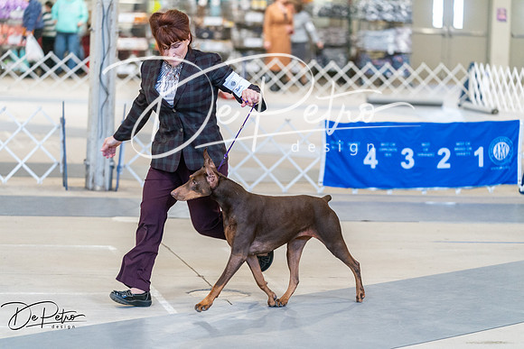 20250301-DSC02844
