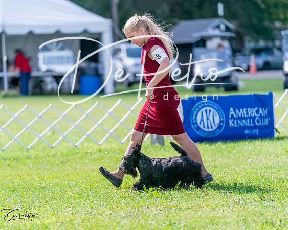 20240630-DSC03446