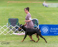 20250628-DSC07255